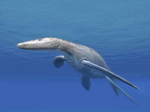 Simolestes is an extinct pliosaur from the Middle Jurassic of England. Poster Print by Nobumichi Tamura/Stocktrek Images - Item # VARPSTNBT600242P