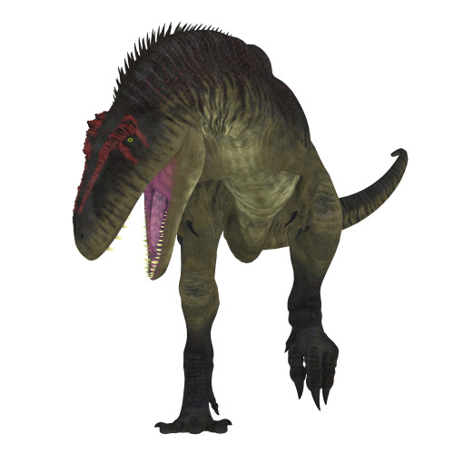 Tyrannotitan dinosaur on white background. Poster Print by Corey Ford/Stocktrek Images - Item # VARPSTCFR200806P