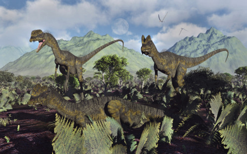 A small pack of Dilophosaurus dinosaurs during Earth's Jurassic period. Poster Print by Mark Stevenson/Stocktrek Images - Item # VARPSTMAS600136P