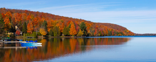 Autumn trees at lakeshore, Lake Bowker, Quebec, Canada Poster Print by Panoramic Images - Item # VARPPI173926