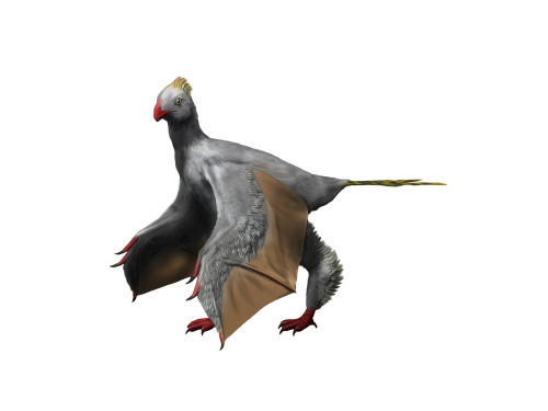 Yi qi is an extinct theropod from the Late Jurassic of China. Poster Print by Nobumichi Tamura/Stocktrek Images - Item # VARPSTNBT600247P