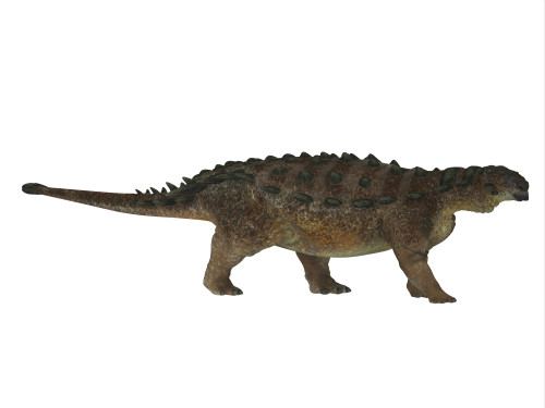 Side profile of a Pinacosaurus dinosaur. Poster Print by Corey Ford/Stocktrek Images - Item # VARPSTCFR200768P