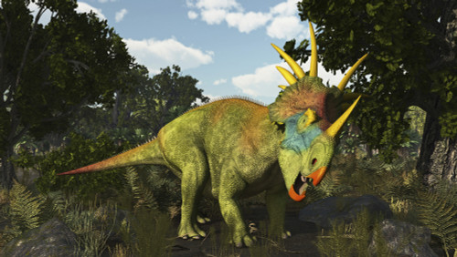 Styracosaurus, a horned dinosaur of the late Cretaceous. Poster Print by Arthur Dorety/Stocktrek Images - Item # VARPSTADR600068P