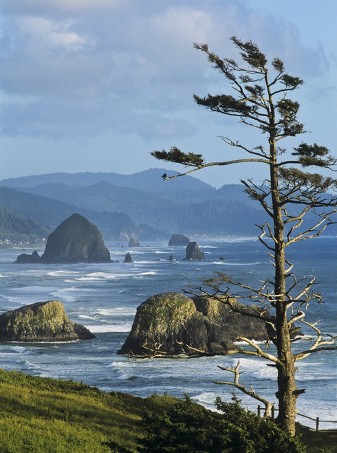 Haystack Rock viewed from Ecola Point; Cannon Beach, Oregon, United States of America Poster Print by Robert L. Potts / Design Pics - Item # VARDPI2385014