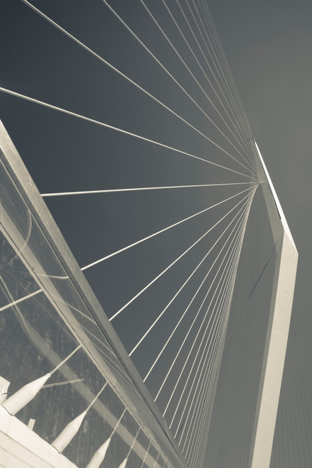 Jerusalem Chords Bridge designed by Santiago Calatrava, Jerusalem, Israel Poster Print by Panoramic Images - Item # VARPPI155828