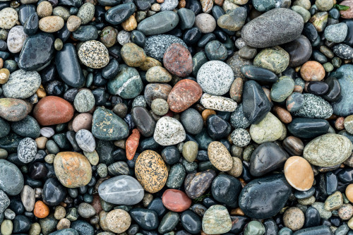Wet stones on beach, British Columbia, Canada Poster Print by Panoramic Images - Item # VARPPI174191