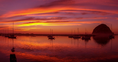 Scenic view of the Morro Bay at dusk, San Luis Obispo County, California, USA Poster Print by Panoramic Images - Item # VARPPI173664