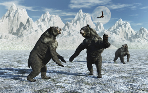 A pair of Arctodus Bears in a territorial dispute. Poster Print by Mark Stevenson/Stocktrek Images - Item # VARPSTMAS600106P