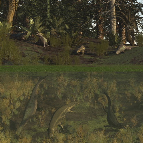 Placodus reptiles rest on shore and dive for food in the Triassic period. Poster Print by Arthur Dorety/Stocktrek Images - Item # VARPSTADR600058P