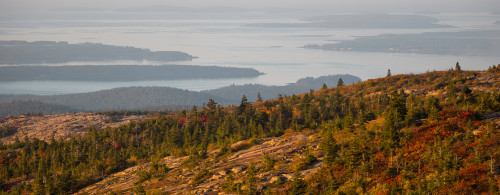 Elevated view of trees, Mount Desert Island, Acadia National Park, Hancock County, Maine, USA Poster Print by Panoramic Images - Item # VARPPI162235