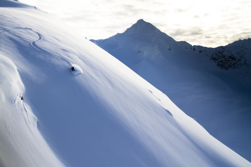 Man Backcountry Skiing In Powder Snow At Wolverine Bowl, Turnagain Pass, Kenai Mountains, Southcentral Alaska, Winter Poster Print by Joe Stock / Design Pics - Item # VARDPI2167622