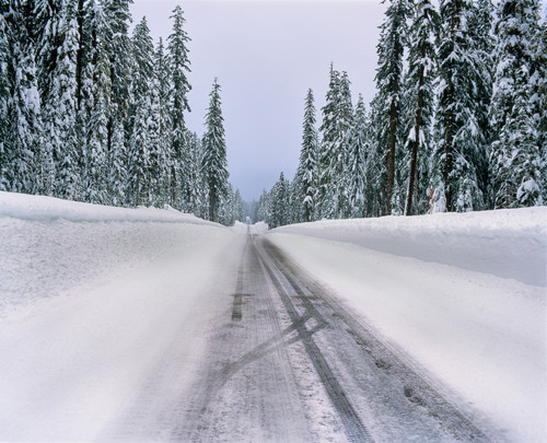 View of snow covered road, Willamette National Forest, Linn County, Oregon, USA Poster Print by Panoramic Images - Item # VARPPI172486