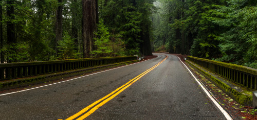 Elk Creek Bridge on Avenue of the Giants passing through a redwood forest, Humboldt Redwoods State Park, California, USA Poster Print by Panoramic Images - Item # VARPPI174047