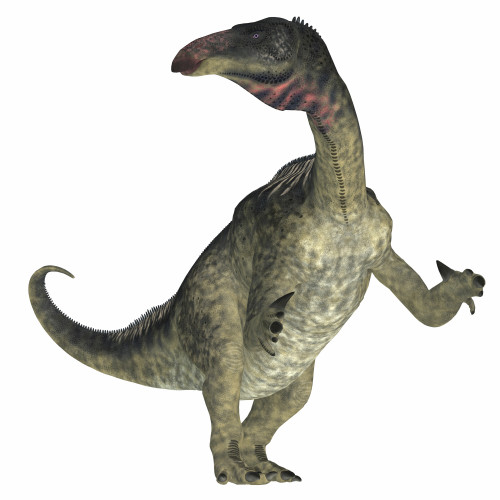 Lurdusaurus dinosaur on white background. Poster Print by Corey Ford/Stocktrek Images - Item # VARPSTCFR200852P