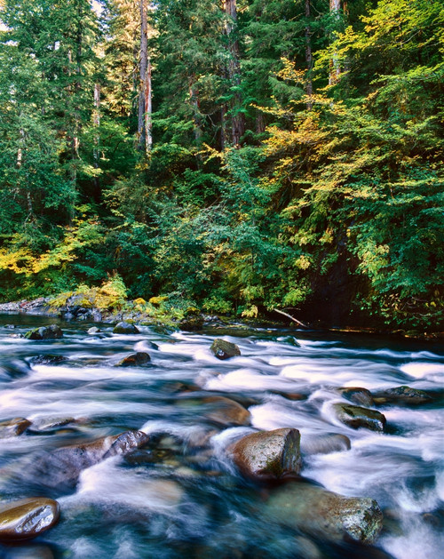 Scenic view of a river flowing through rocks, North Santiam River, Willamette National Forest, Lane County, Oregon, USA Poster Print by Panoramic Images - Item # VARPPI172494