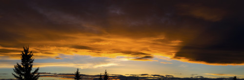 Panorama of colourful dramatic chinook arc cloud at sunset; Calgary, Alberta, Canada Poster Print by Michael Interisano / Design Pics - Item # VARDPI12308045