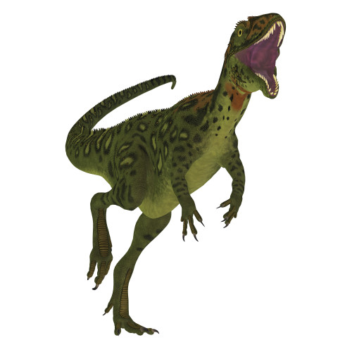 A vicious Masiakasaurus dinosaur. Poster Print by Corey Ford/Stocktrek Images - Item # VARPSTCFR200712P