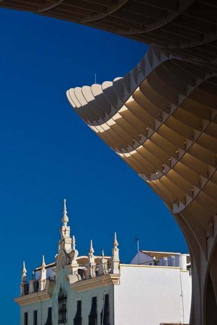 Mushroom structure, Metropol Parasol, Plaza De La Encarnacion, Seville, Andalusia, Spain Poster Print by Panoramic Images - Item # VARPPI156830