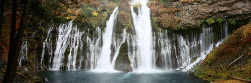 Waterfall in a forest, Burney Falls, McArthur-Burney Falls Memorial State Park, California, USA Poster Print by Panoramic Images - Item # VARPPI104529