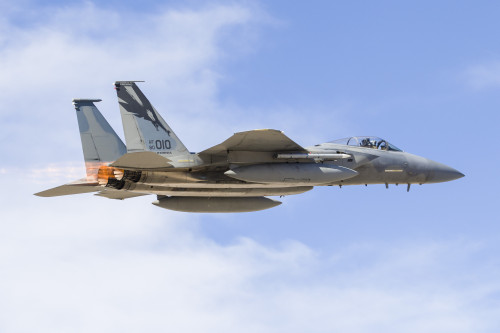 A U.S. Air Force F-15C Eagle taking off from Nellis Air Force Base, Nevada. Poster Print by Rob Edgcumbe/Stocktrek Images - Item # VARPSTRDG100161M