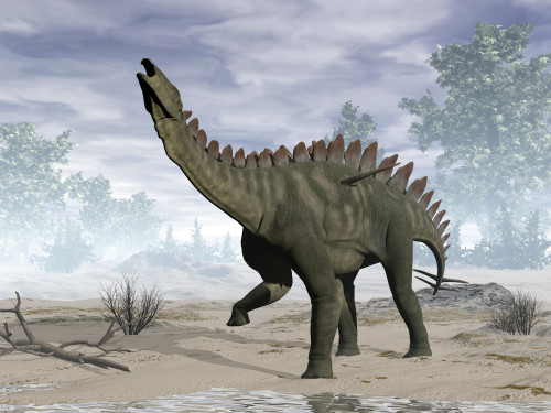 Miragaia dinosaur rearing up. Poster Print by Elena Duvernay/Stocktrek Images - Item # VARPSTEDV600377P