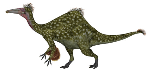 Deinocheirus dinosaur isolated on white background. Poster Print by Elena Duvernay/Stocktrek Images - Item # VARPSTEDV600403P