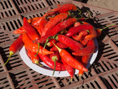 Red chillies for sale at Saturday animal market, Otavalo, Imbabura Province, Ecuador Poster Print by Panoramic Images - Item # VARPPI153345