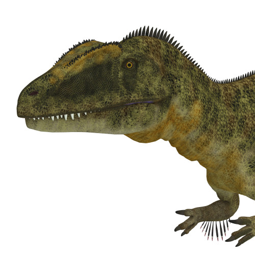 Concavenator dinosaur head. Poster Print by Corey Ford/Stocktrek Images - Item # VARPSTCFR200839P