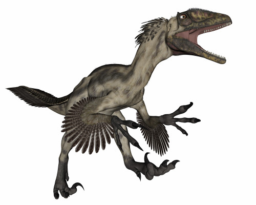 Deinonychus dinosaur roaring, isolated on white background. Poster Print by Elena Duvernay/Stocktrek Images - Item # VARPSTEDV600405P