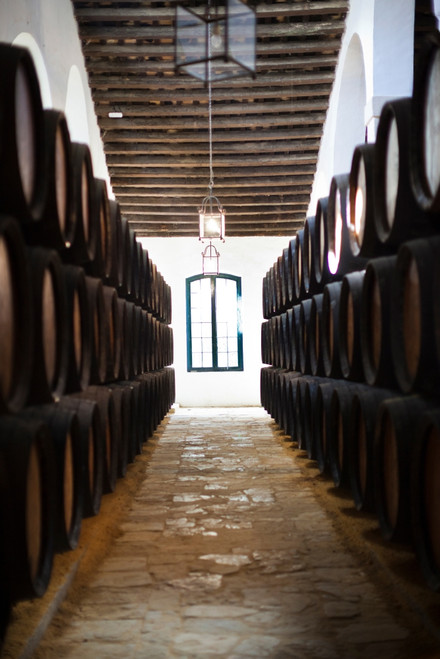 Sherry casks in a winery, Gonzalez Byass, Jerez De La Frontera, Cadiz Province, Andalusia, Spain Poster Print by Panoramic Images - Item # VARPPI156857