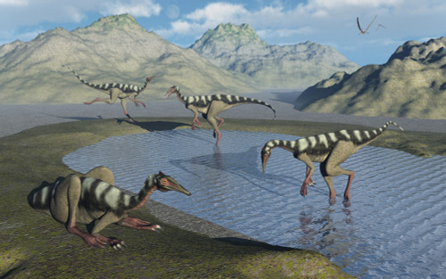 A gathering of Pelecanimimus dinosaurs around a watering place. Poster Print by Mark Stevenson/Stocktrek Images - Item # VARPSTMAS600099P