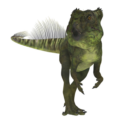Archaeoceratops dinosaur on white background. Poster Print by Corey Ford/Stocktrek Images - Item # VARPSTCFR200829P
