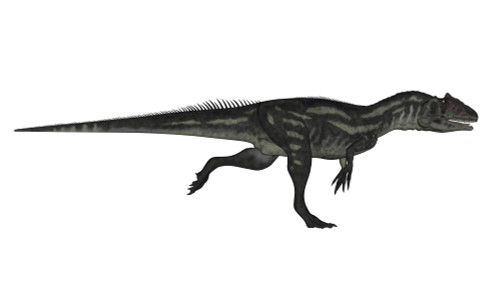 Allosaurus dinosaur running, white background. Poster Print by Elena Duvernay - Item # VARPSTEDV600393P