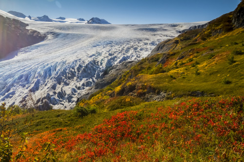 Exit Glacier near Seward, Alaska in South-central Alaska in autumn; Alaska, United States of America Poster Print by Doug Lindstrand / Design Pics - Item # VARDPI12320293