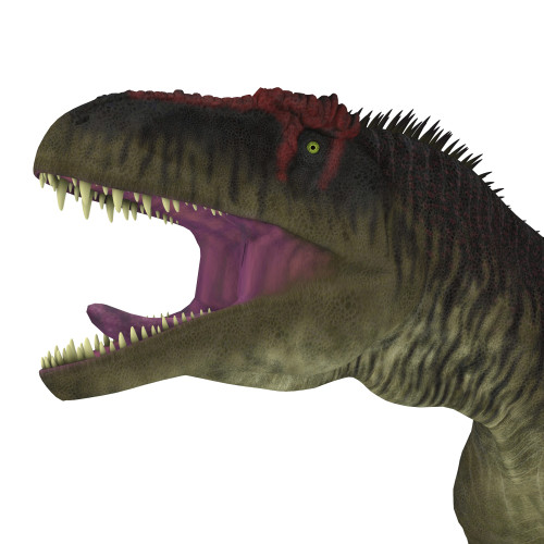 Tyrannotitan dinosaur head. Poster Print by Corey Ford/Stocktrek Images - Item # VARPSTCFR200805P