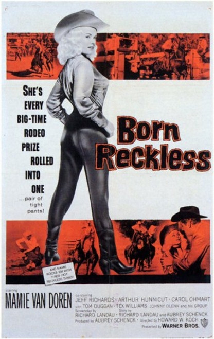 Born Reckless Movie Poster (11 x 17) - Item # MOV200014