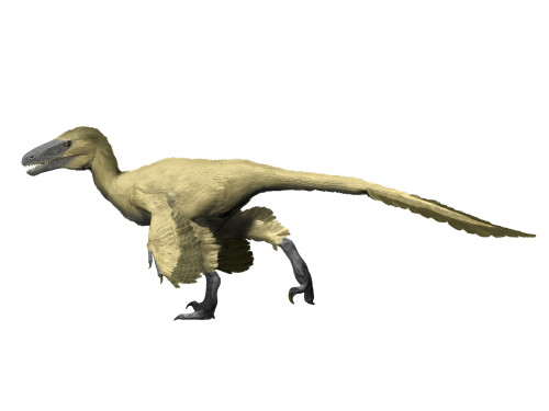 Utahraptor is a theropod from the Early Cretaceous period. Poster Print by Nobumichi Tamura/Stocktrek Images - Item # VARPSTNBT600190P