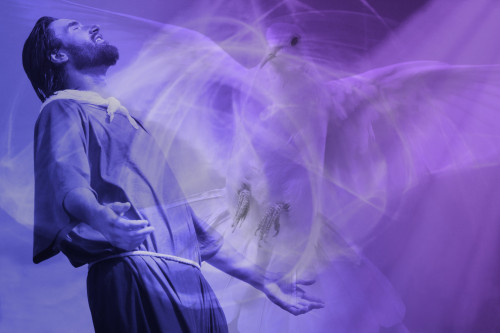 Holy Spirit Ascending Poster Print by Don Hammond / Design Pics - Item # VARDPI1780376