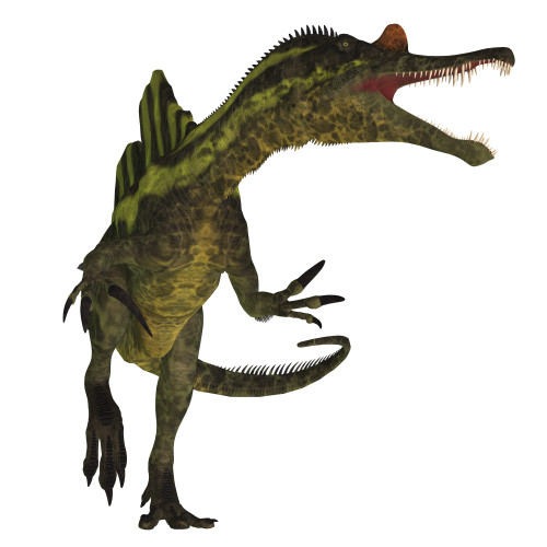 A vicious Ichthyovenator dinosaur. Poster Print by Corey Ford/Stocktrek Images - Item # VARPSTCFR200701P