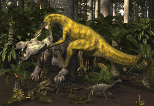 Herrerasaurus, an early dinosaur, attacks a dicynodont. Poster Print by Arthur Dorety/Stocktrek Images - Item # VARPSTADR600055P