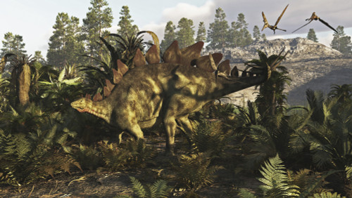 A Stegosaurus hanging out. Poster Print by Arthur Dorety/Stocktrek Images - Item # VARPSTADR600065P