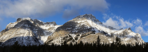 Mountain with highlighted snow, silhouetted trees blue sky and clouds; Alberta, Canada Poster Print by Michael Interisano / Design Pics - Item # VARDPI12307864