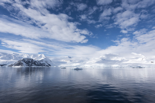 Sky reflected in water in Neko harbour; Antarctica Poster Print by Deb Garside / Design Pics - Item # VARDPI12311084 Sky reflected in water in Neko harbour; Antarctica Poster Print by Deb Garside / Design Pics - Item # VARDPI12311084