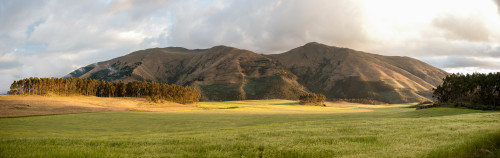 Fields and hills late afternoon sunlight, Imbabura Province, Ecuador Poster Print by Panoramic Images - Item # VARPPI153338