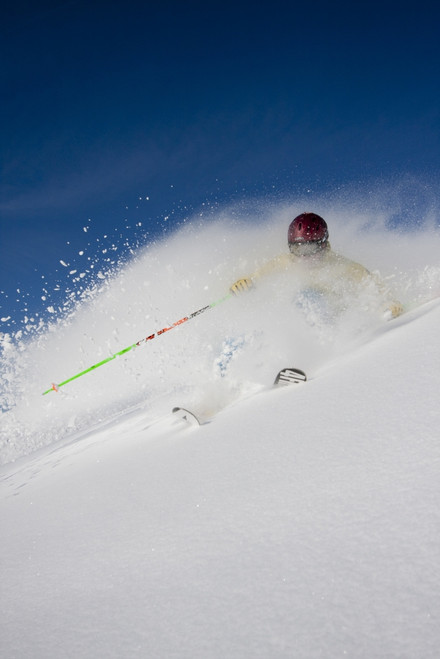 Downhill Skier In The Backcountry Of Alyeska Resort, Southcentral Alaska, Winter Poster Print by Simon Evans / Design Pics - Item # VARDPI2170284