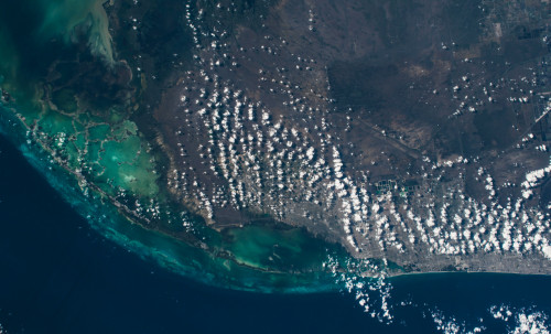 Satellite view of Miami along Atlantic Coast, Florida, USA Poster Print by Panoramic Images - Item # VARPPI181306