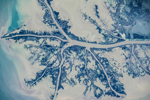 Satellite view of Mississippi River Delta, Louisiana, USA Poster Print by Panoramic Images - Item # VARPPI181072