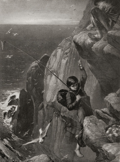 Young boy gathering eggs from a nest set in a rocky cliff face in the mid 19th century.  From Bibby's Annual published 1910. Poster Print by Hilary Jane Morgan / Design Pics - Item # VARDPI12288366