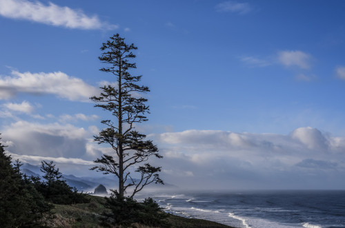 Haystack Rock can be seen to the South of Ecola State Park; Cannon Beach, Oregon, United States of America Poster Print by Robert L. Potts / Design Pics - Item # VARDPI12324729 Haystack Rock can be seen to the South of Ecola State Park; Cannon Beach, Oregon, United States of America Poster Print by Robert L. Potts / Design Pics - Item # VARDPI12324729