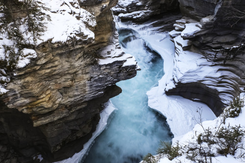 Athabasca Falls in winter, Jasper National Park; Alberta, Canada Poster Print by Brian M Wolitski / Design Pics - Item # VARDPI12321947